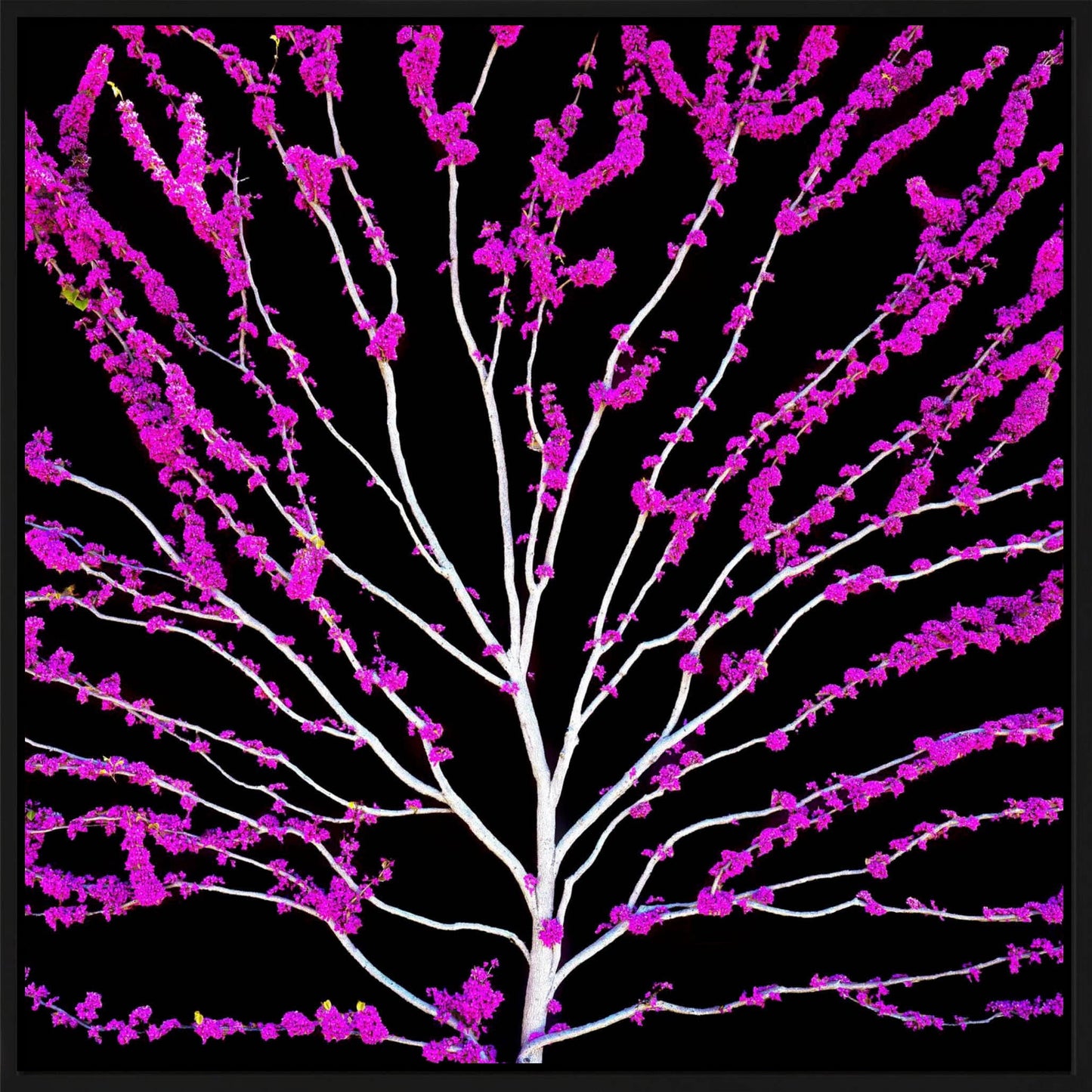 Blossom Tree