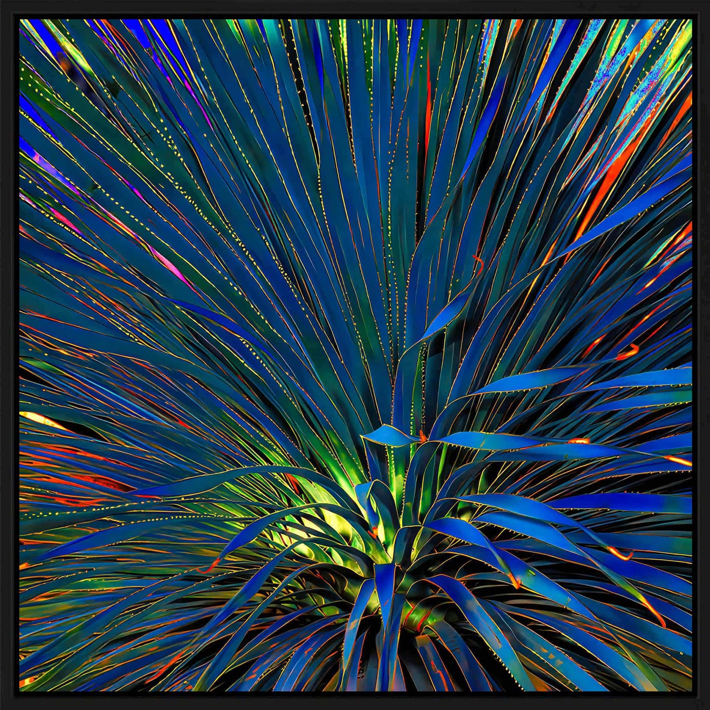 Blue Plant