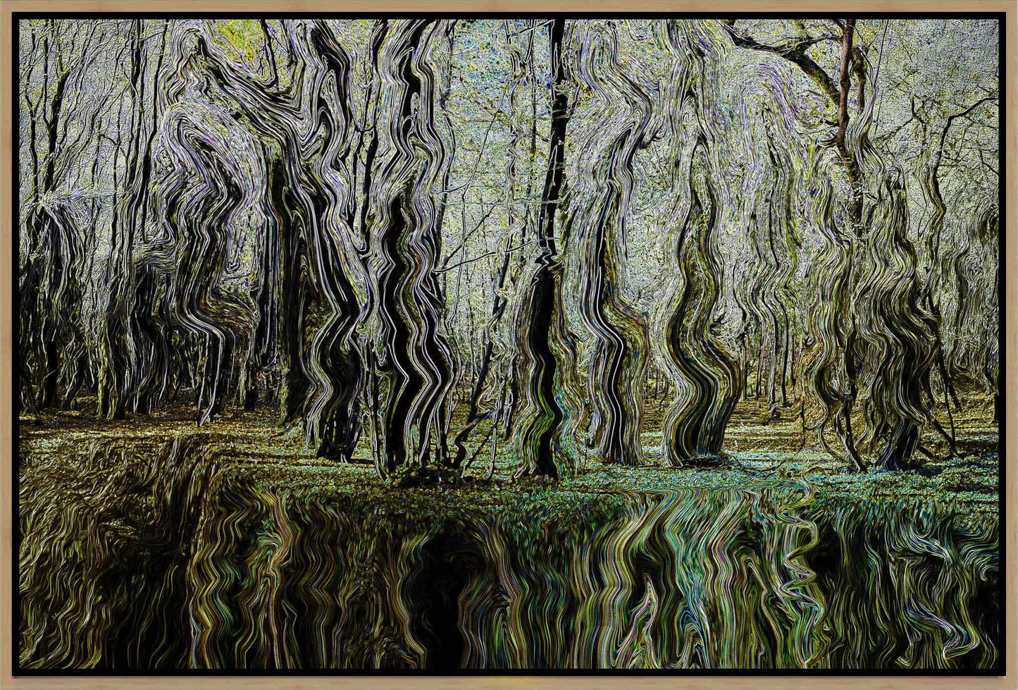 Forest
