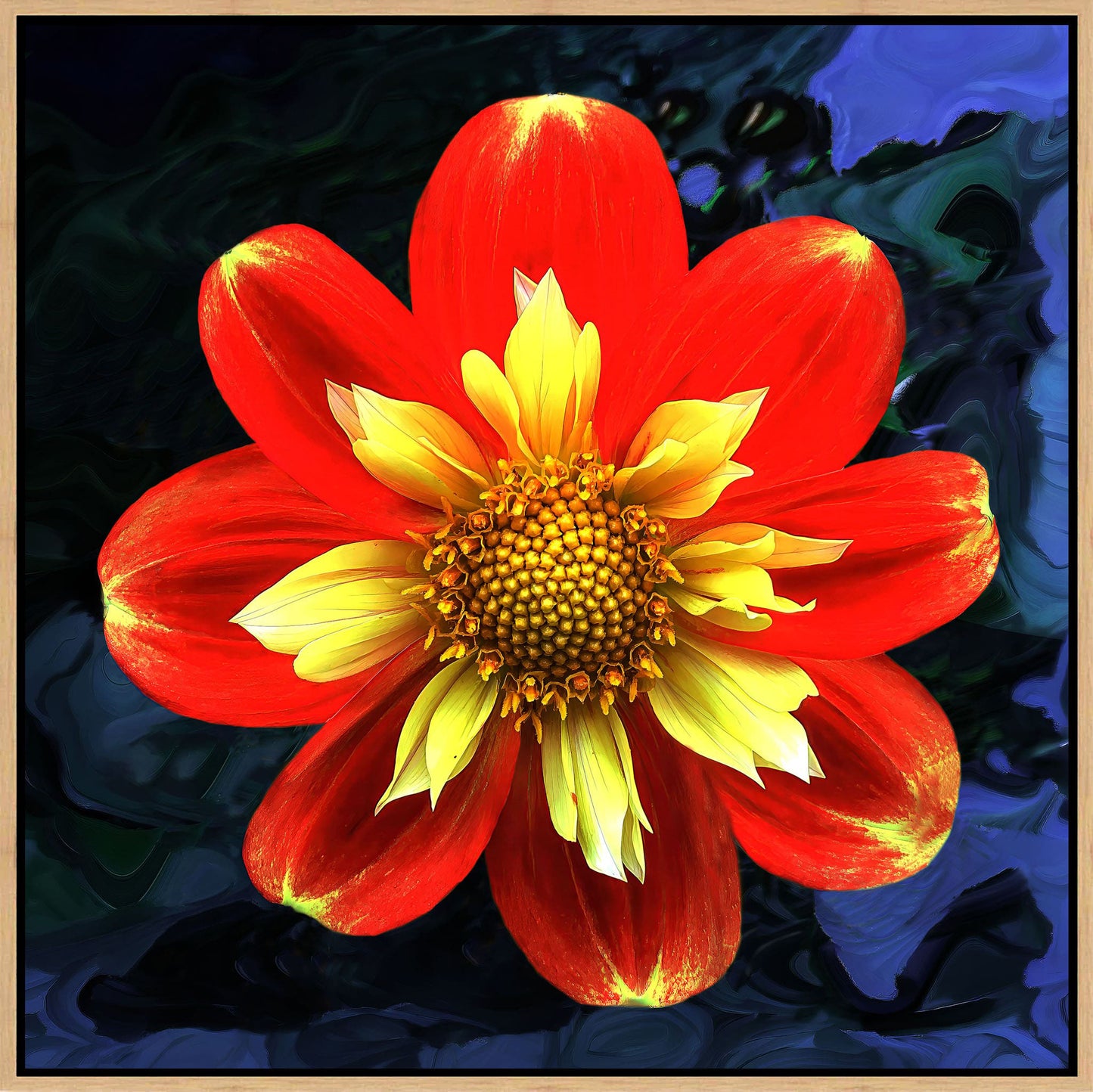 Orange Flower