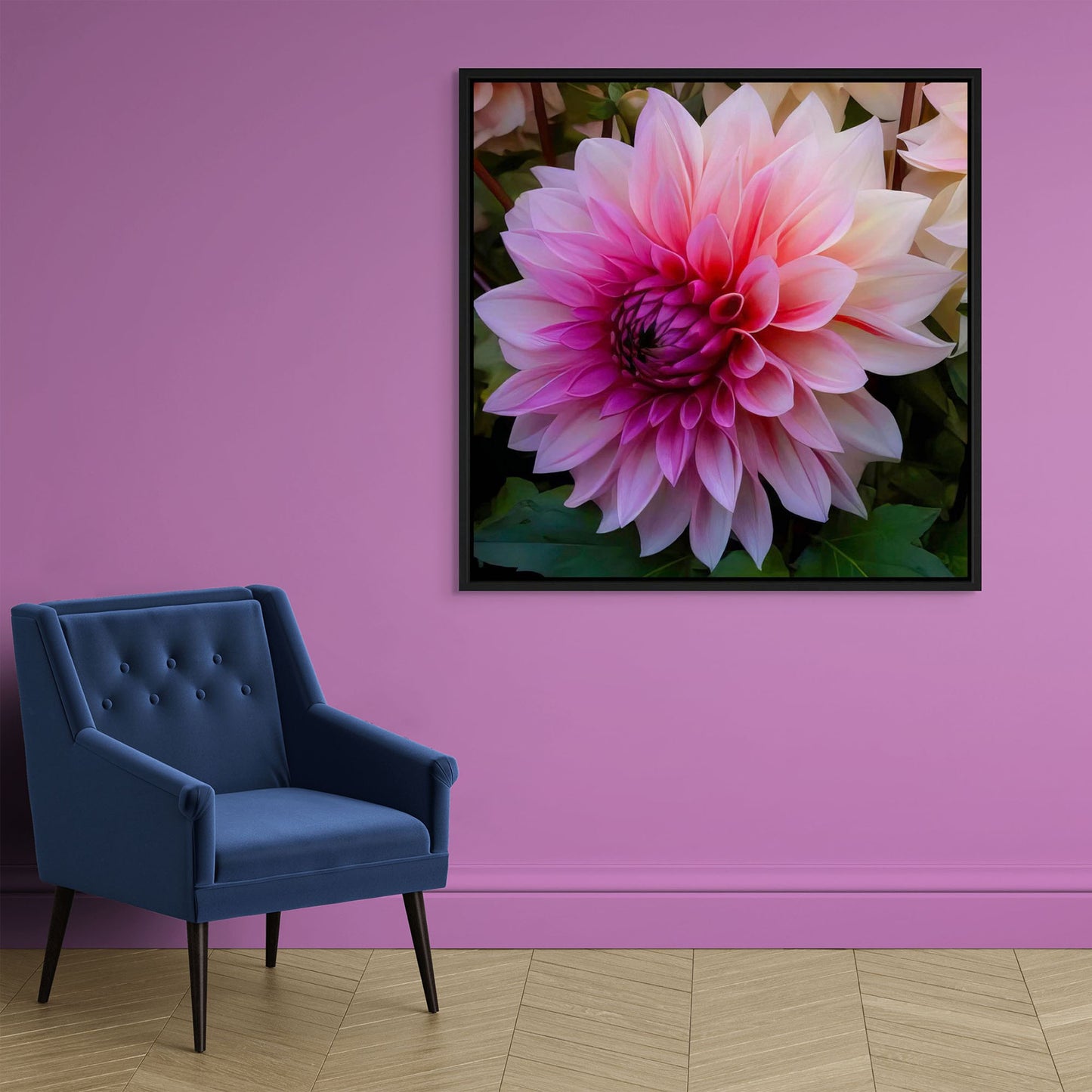 Pink Dahlia
