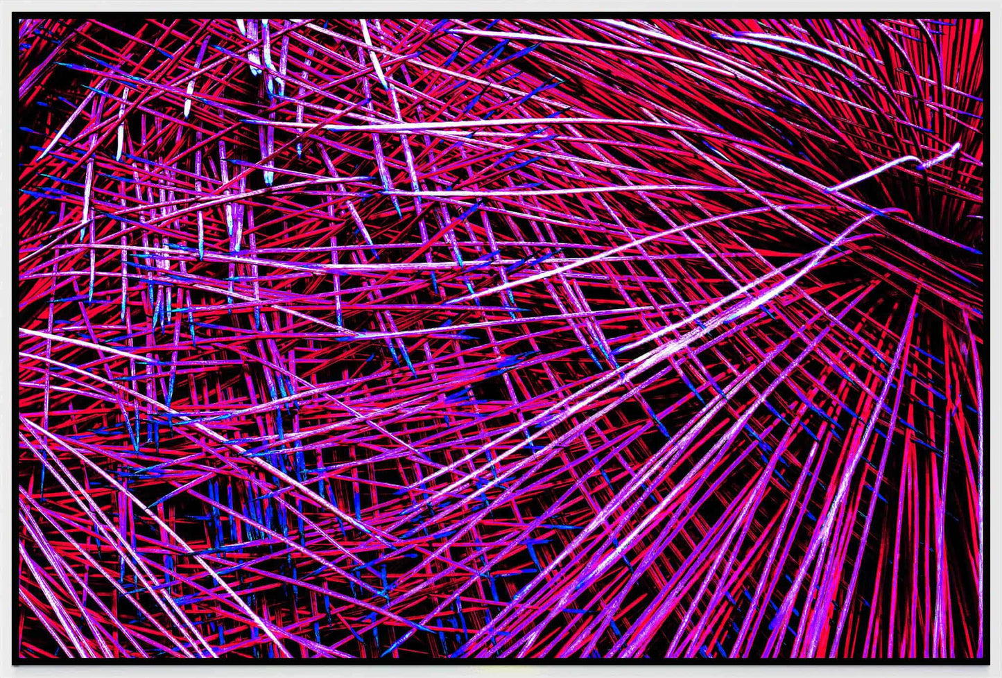 Rose Synapses