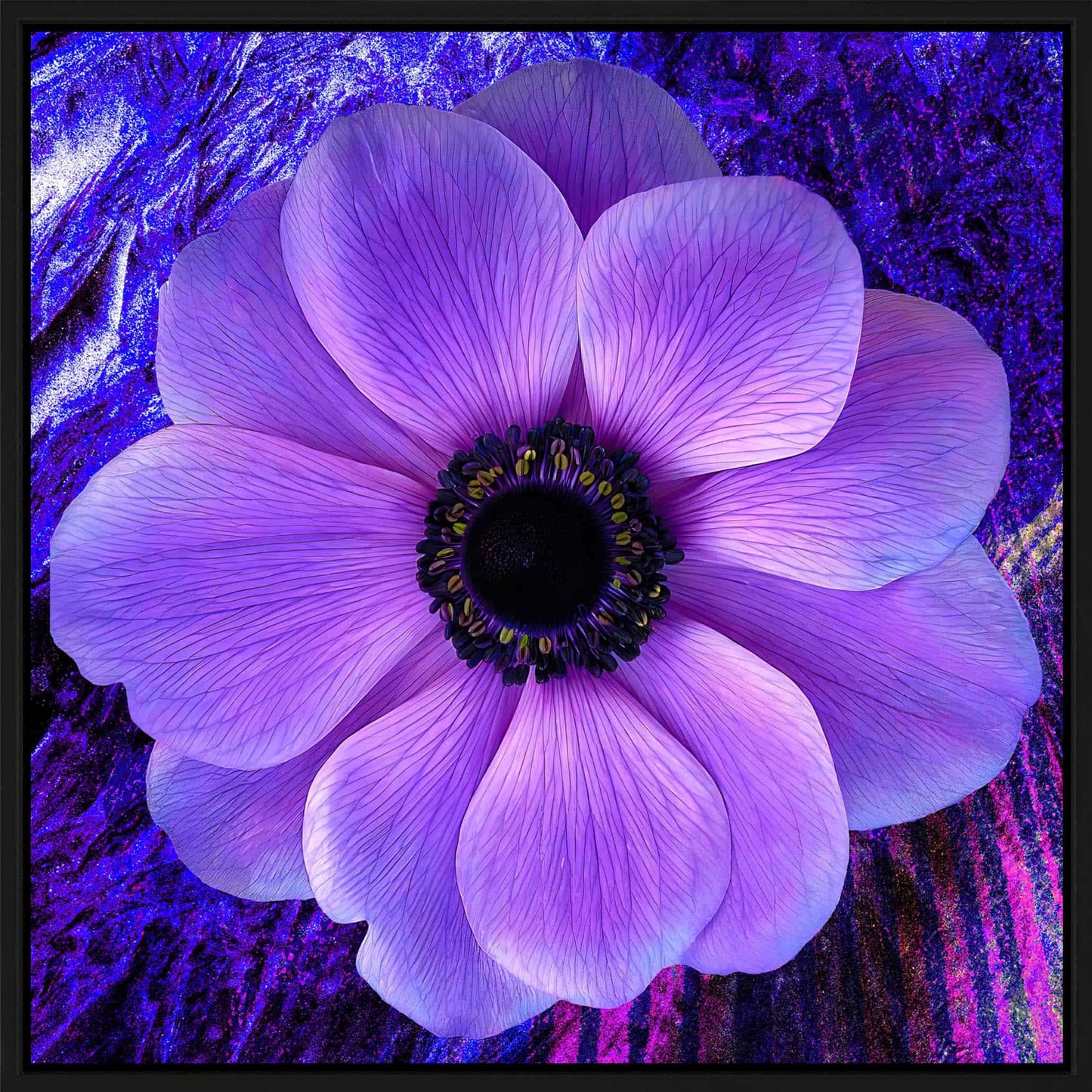 Violet Flower